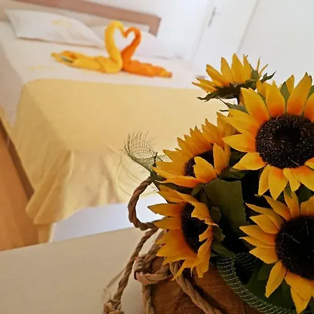 Apartman Zmijarevic アパート プロチェ
